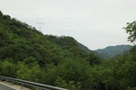 2024-08-05_16-28-18_10EEA606-4438-4F07-8245-000F682FB1BB.jpeg