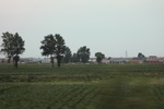 2024-08-05_16-08-59_B50F1277-1864-4885-B493-58AC3192CB6C.jpeg