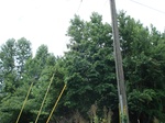 32267p31_s.jpg