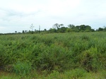 55104Berau (420).JPG