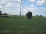 33264IMG_5594.JPG