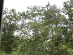49602CIMG5939.JPG
