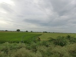 55951CIMG6681.JPG