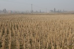 8401IMG_0527.JPG