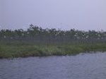 1275R0015087_small.jpg