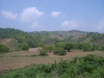 28195RIMG0184.JPG