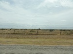 36068DSC02788.JPG