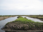 14278IMG_4618.JPG