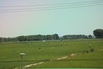 2024-08-05_14-06-59_4F3340C6-7C18-4B72-AF8F-3FFDA49C8005.jpeg
