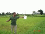 12355002c-irrigated-groundwater-valleybottom-rice.gif
