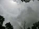 45497CIMG2582.JPG