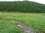 23820P1040903.JPG