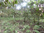 19929P1010779.JPG