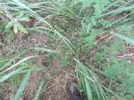 18289P1000125.JPG