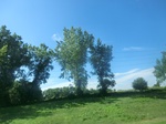 57060CIMG2358.JPG