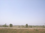9051RIMG0129.JPG