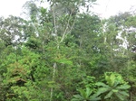 49845CIMG6182.JPG