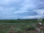 55986CIMG6665.JPG