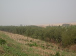 8480IMG_0305.JPG