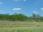35135DSC02340.JPG