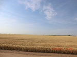 29738CIMG1054.JPG