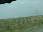 51553P1000724.JPG