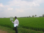 9301gt029a-cropland-irrigated-rice-thungabhadra.gif
