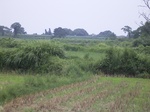 868R0015394.jpg