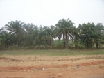 3940RIMG0244.JPG
