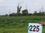 128040225a-rainfed-agriculture-mixedcrop-cotton-sorghum-gram.gif
