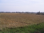 3165R0017199.JPG