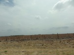 35412DSC02924.JPG