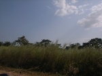 8991RIMG0067.JPG