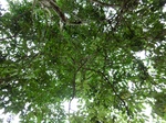 46192CIMG0481.JPG