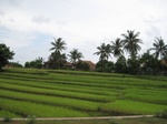 15521IMG_4591.JPG