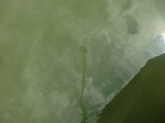 58253CIMG2700.JPG