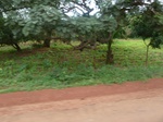 21041P1020912.JPG