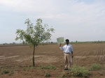 7979gt95b_cropland_farmfallow.jpg