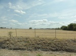 35546DSC02043.JPG