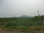 32918CIMG2063.JPG