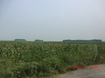 32980CIMG2130.JPG