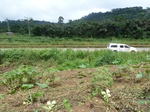 25247P1020090.JPG