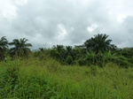 18179P1000016.JPG