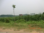 33004CIMG2162.JPG