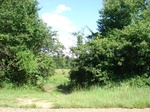 32511p169.jpg