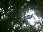 45120CIMG2205.JPG