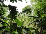 22143DSC00386.JPG