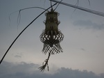 15937IMG_4487.JPG