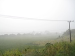 15923IMG_4472.JPG