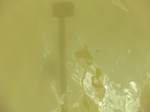 58569CIMG3019.JPG